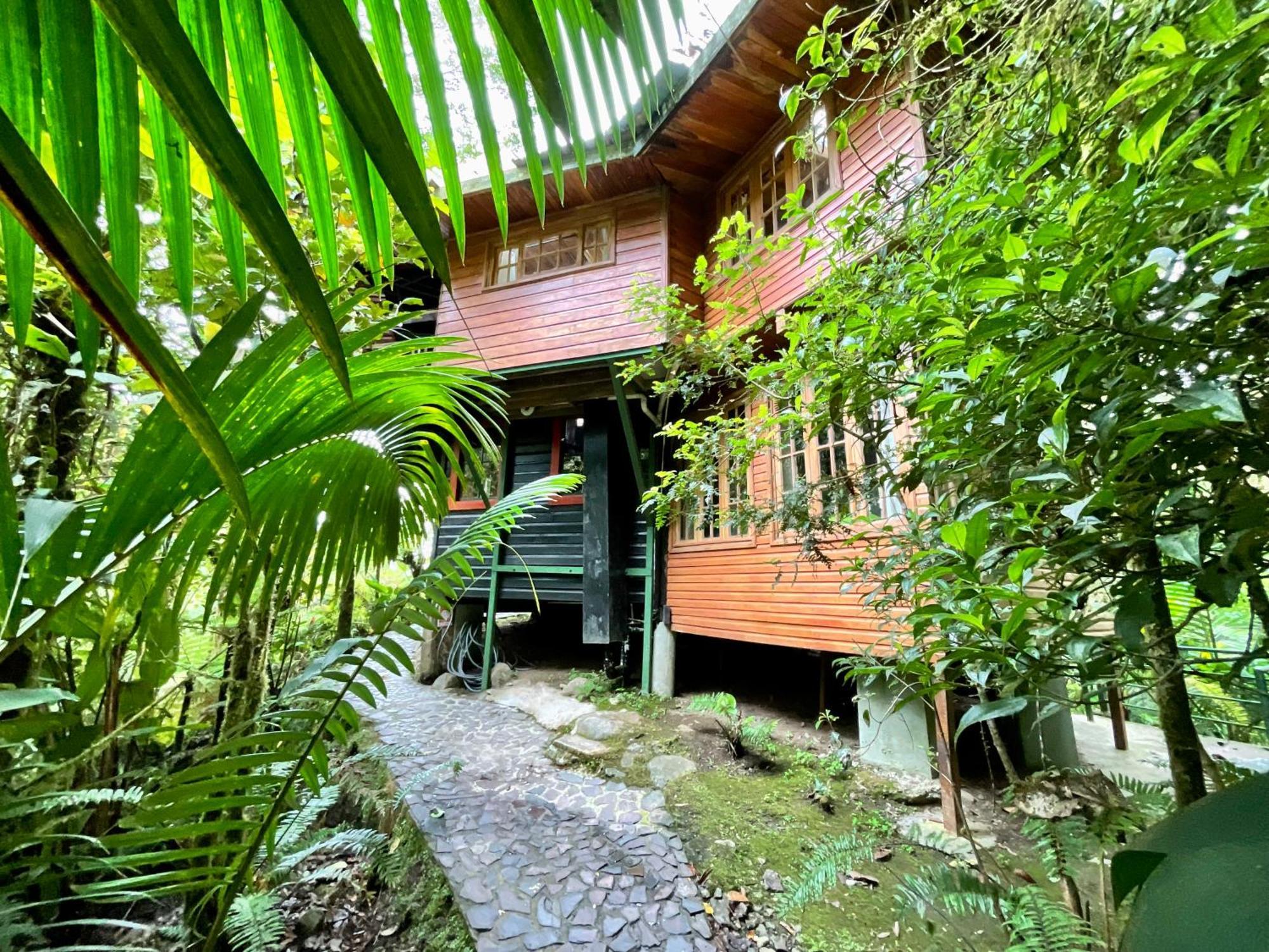 Los Quetzales Ecolodge & Spa Cerro Punta Zewnętrze zdjęcie
